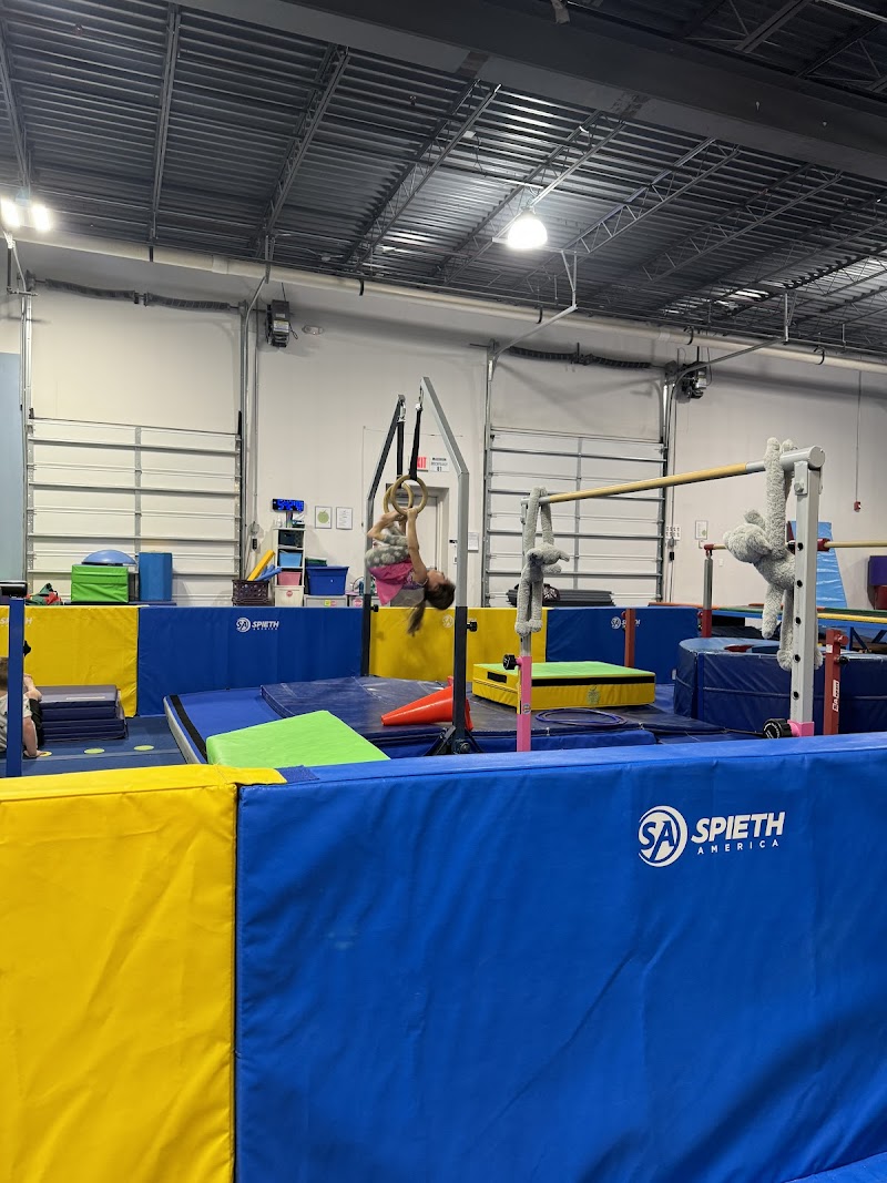 Mt. Helena Gymnastics photo 2