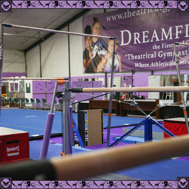 Dreamflight Theatrical Gymnastics Incorporated photo 3