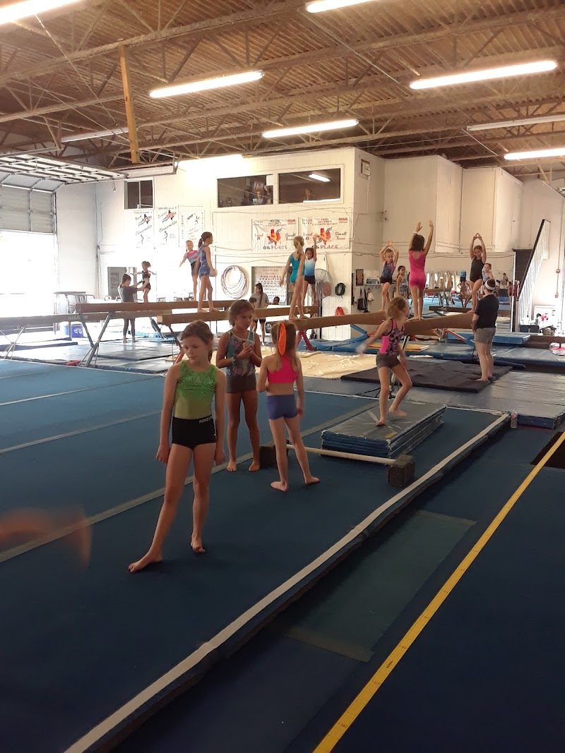 World of Gymnastics