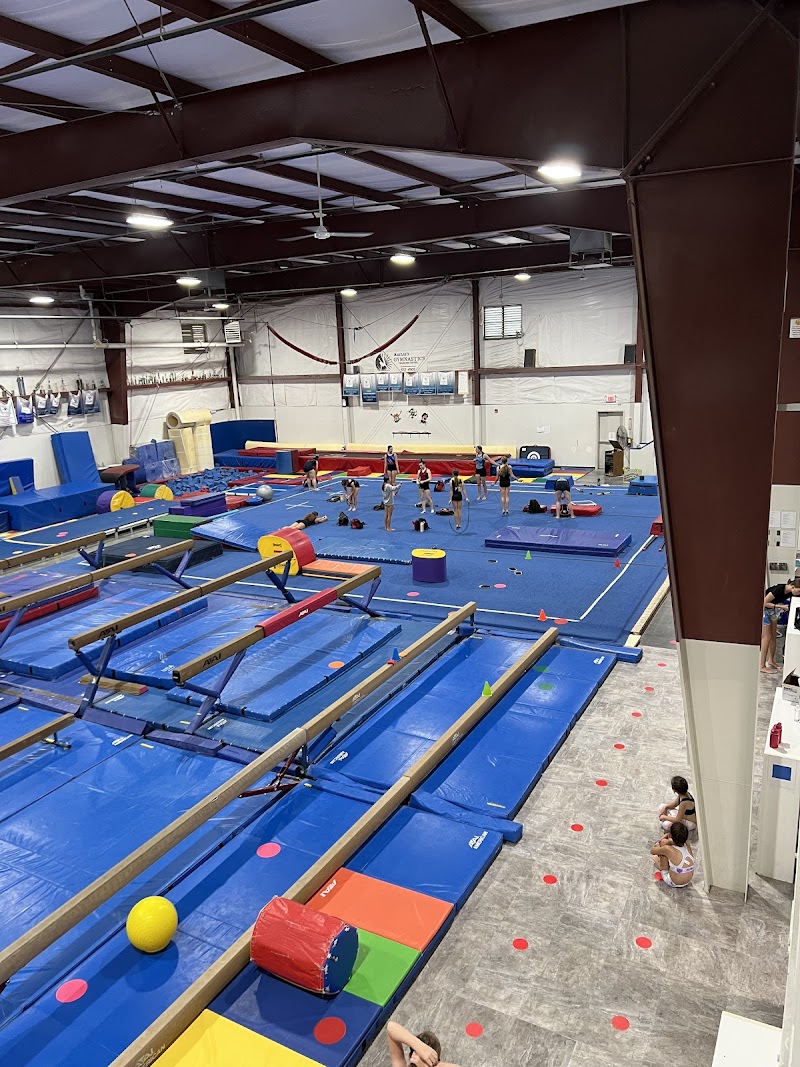 Bailie's Gymnastics photo 2