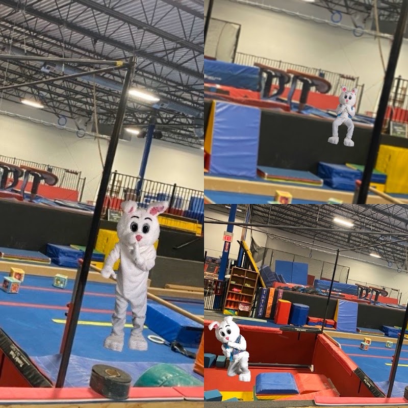 Naperville Gymnastics Club