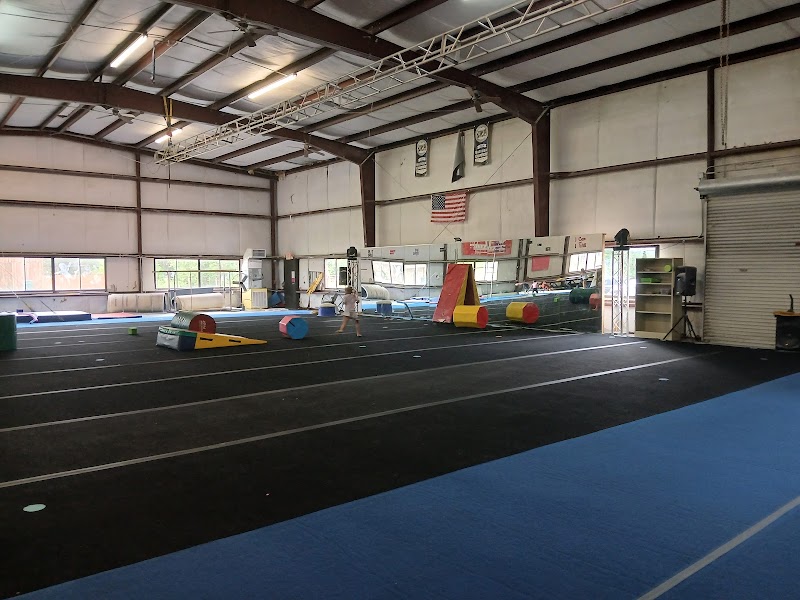 Beaumont Gymnastics Academy photo 3