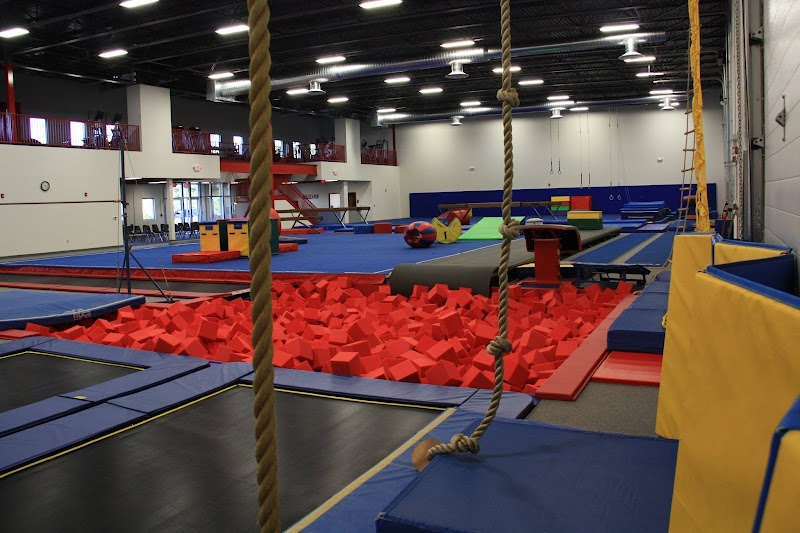 Shields Gymnastics photo 2
