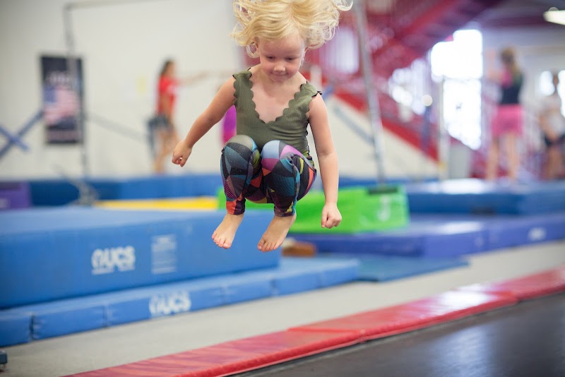 Shields Gymnastics photo 3