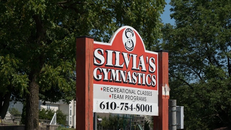 Silvia's Gymnastics LLC photo 3