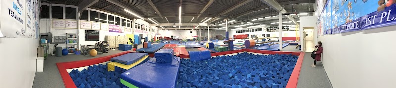 Apex Gymnastics