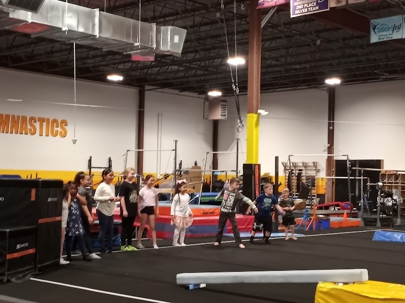 Towers Gymnastics photo 2