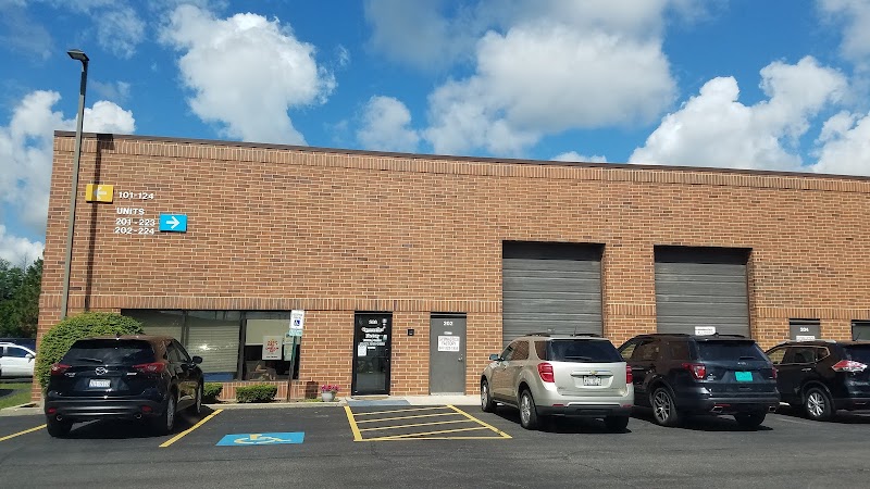 The Gymnastics Factory Grayslake photo 2