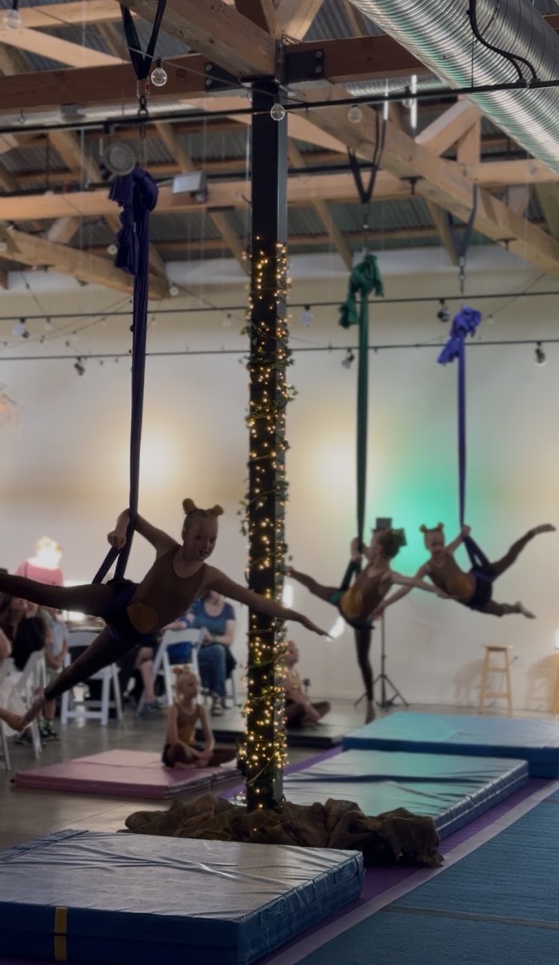 Kinetics Academy of Dance & Gymnastics photo 2