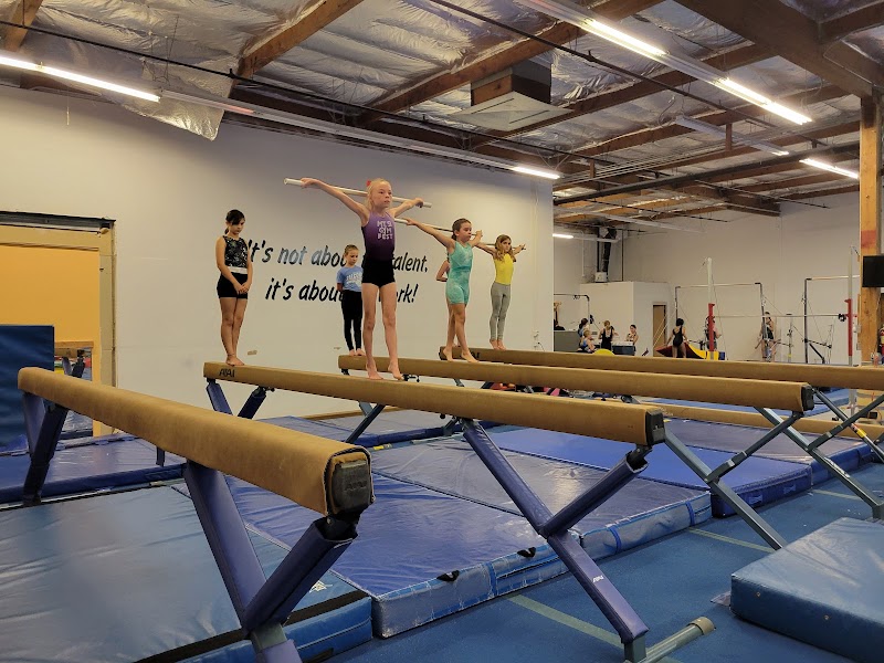 Mt Si Gymnastics Academy