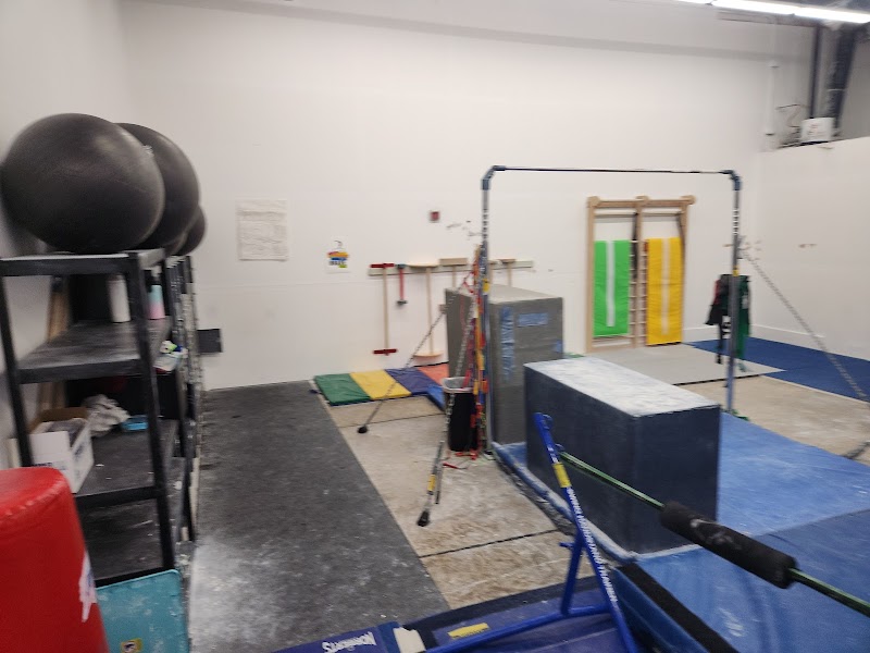 Mt Si Gymnastics Academy photo 2