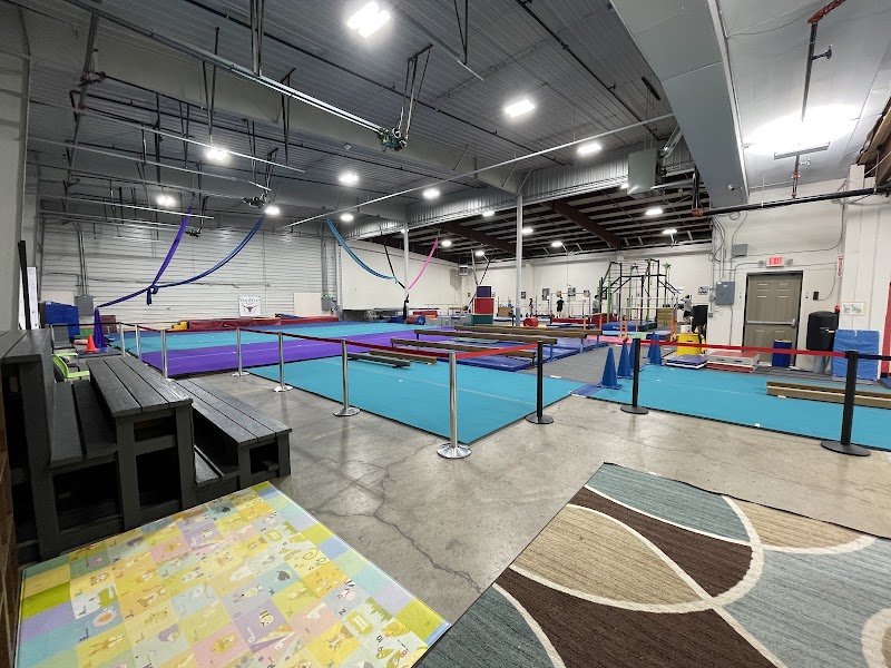 Flathead Gymnastics Academy photo 3