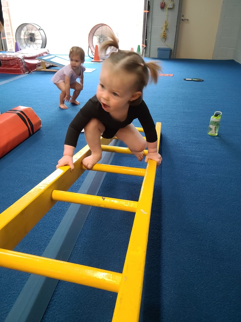 The Gymnastics Zone Inc.