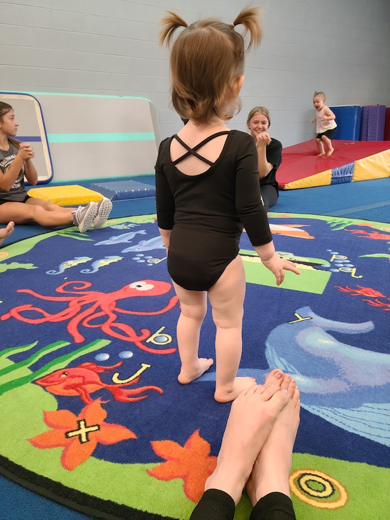 The Gymnastics Zone Inc. photo 2