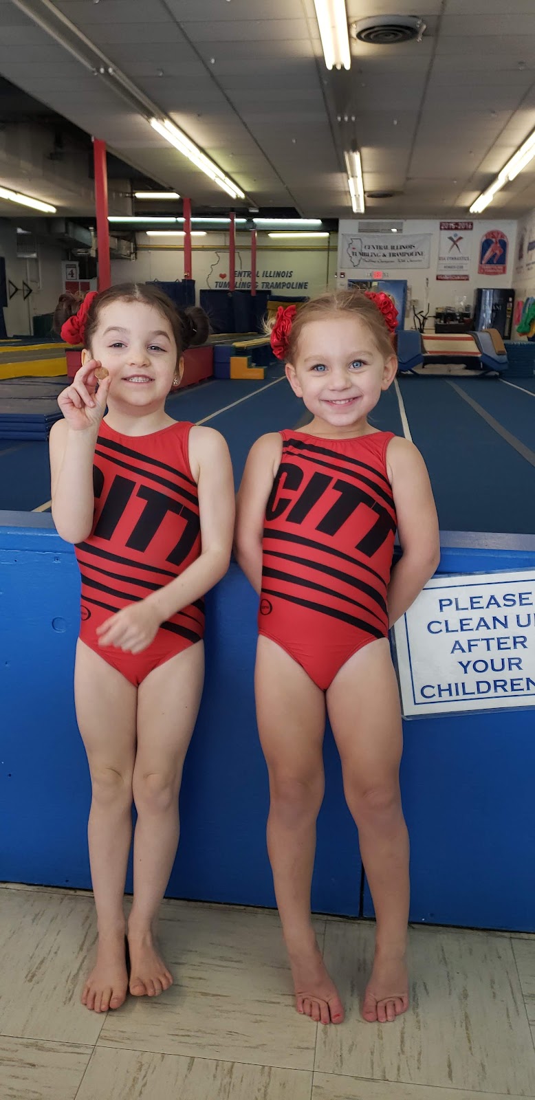Central Illinois Tumbling and Trampoline Inc. photo 2