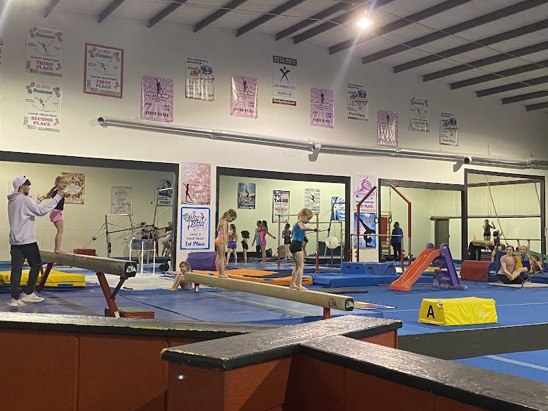Gymnastic World photo 2