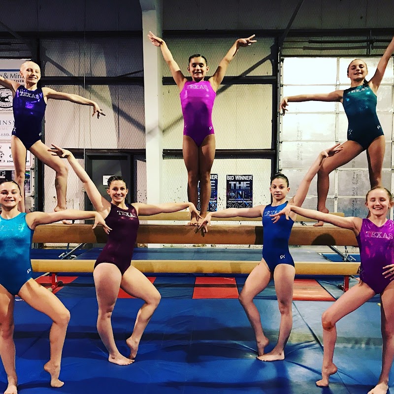 Gymnastic World photo 3