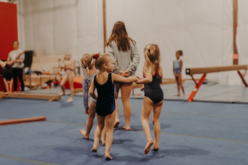 Lincoln Elite Gymnastics photo 2