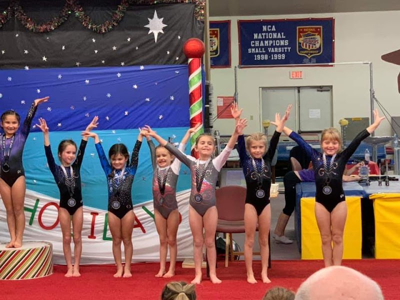 Hodgini Gymnastics