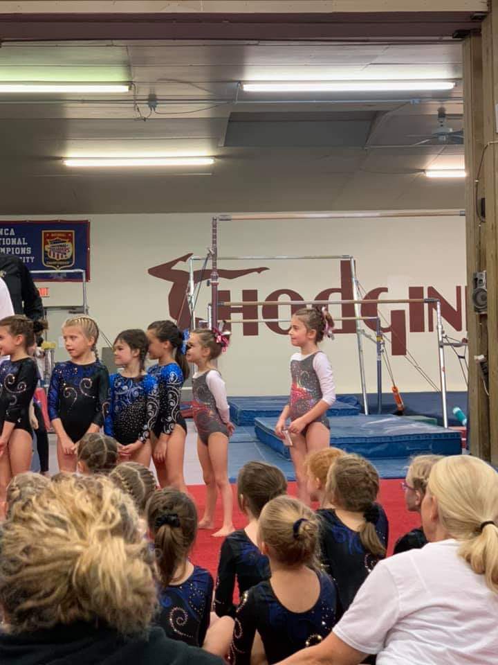 Hodgini Gymnastics photo 2
