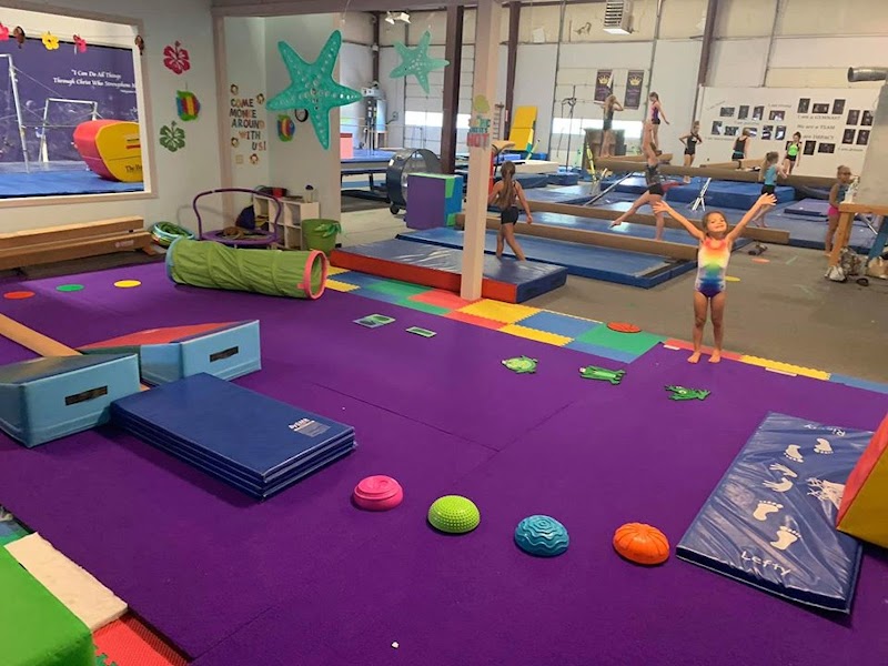Impact Gymnastics