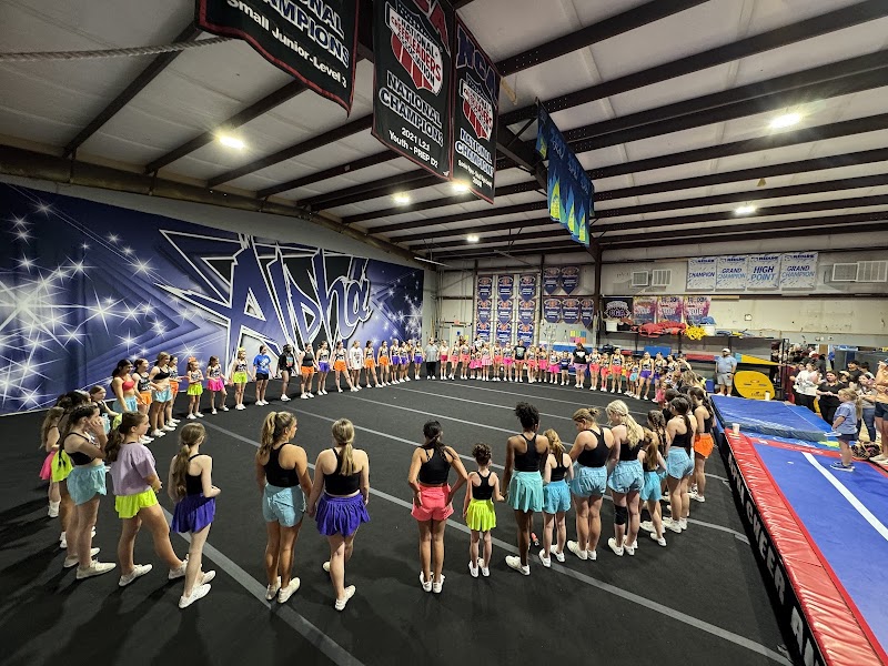 Alpha TnT photo 3