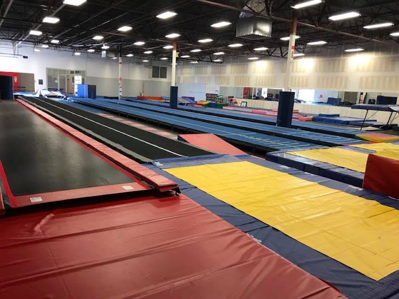 Team Fuzion Tumbling photo 2