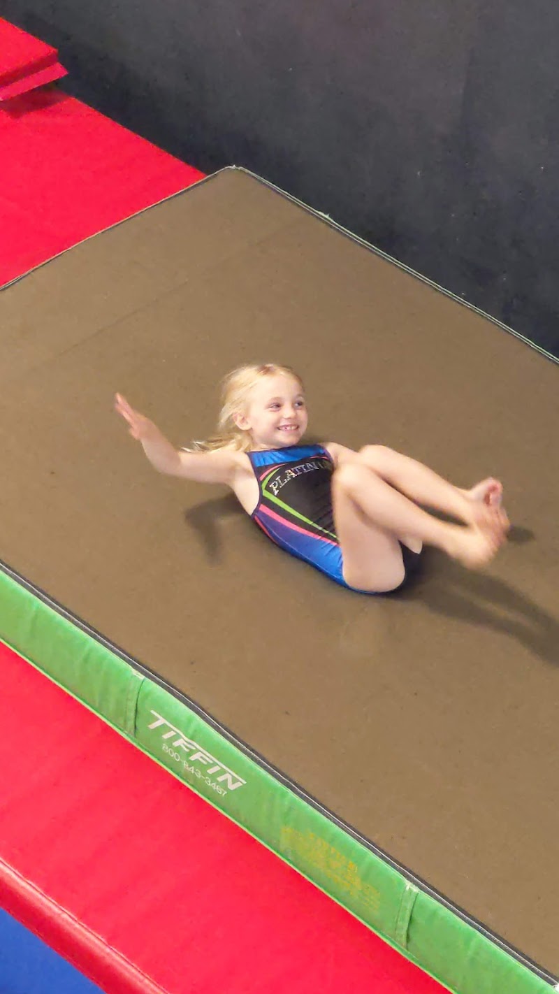 Platinum Gymnastics Academy photo 2