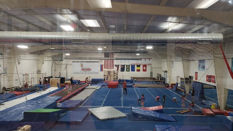 Artemov Gymnastics