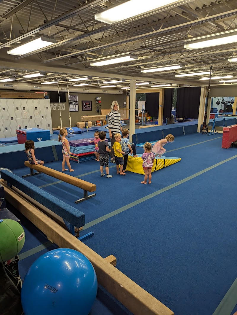 Pinnacle Gymnasatics photo 3