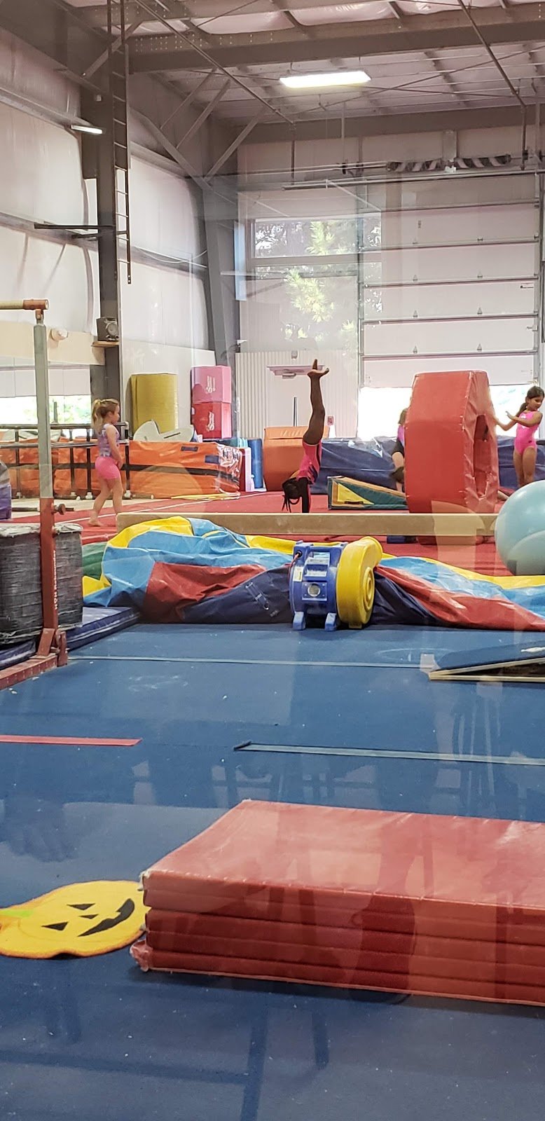 World Class Gymnastics