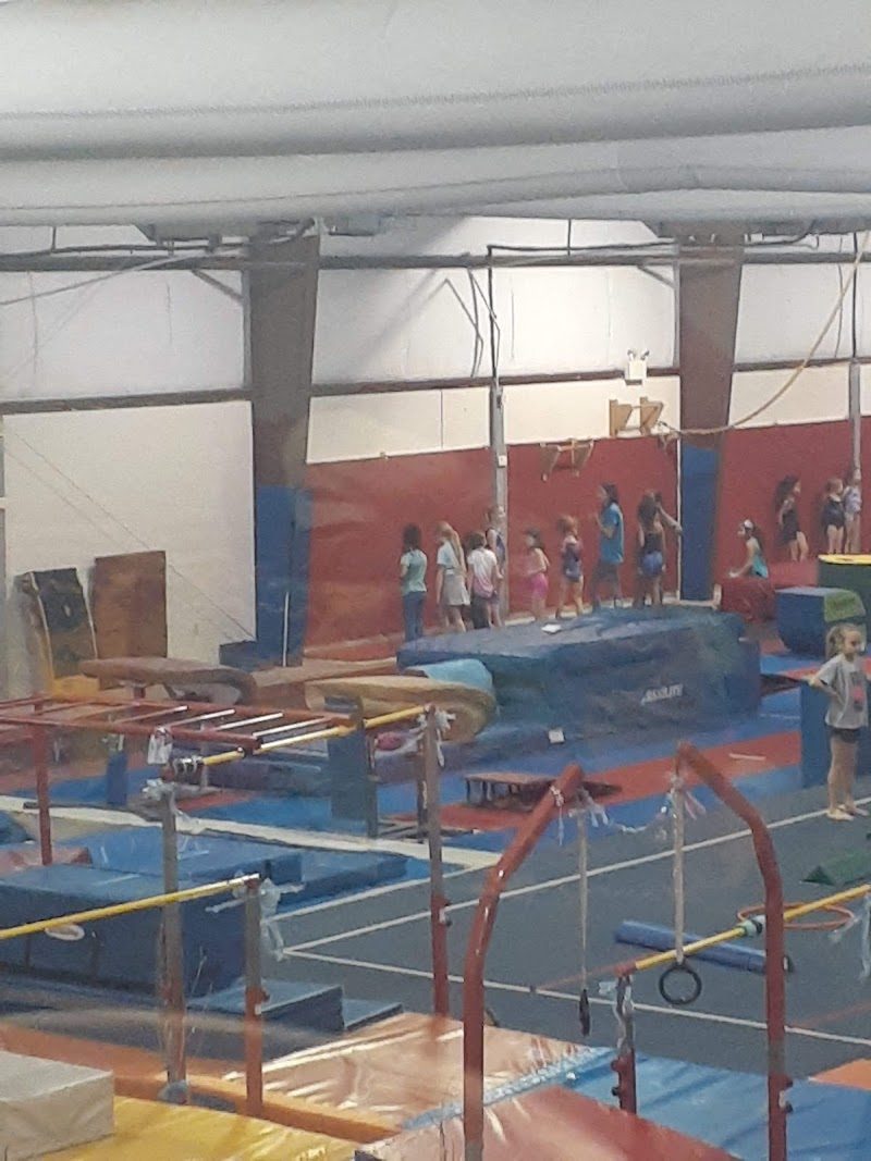 Twigs Kids Gymnastics and Swimming photo 3