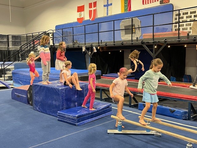 Towson Gymnastics Academy
