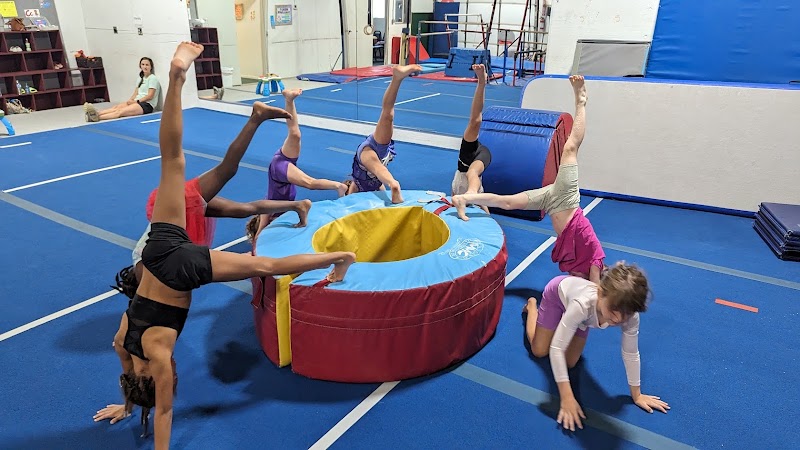 Athens Gymnastics Academy photo 3