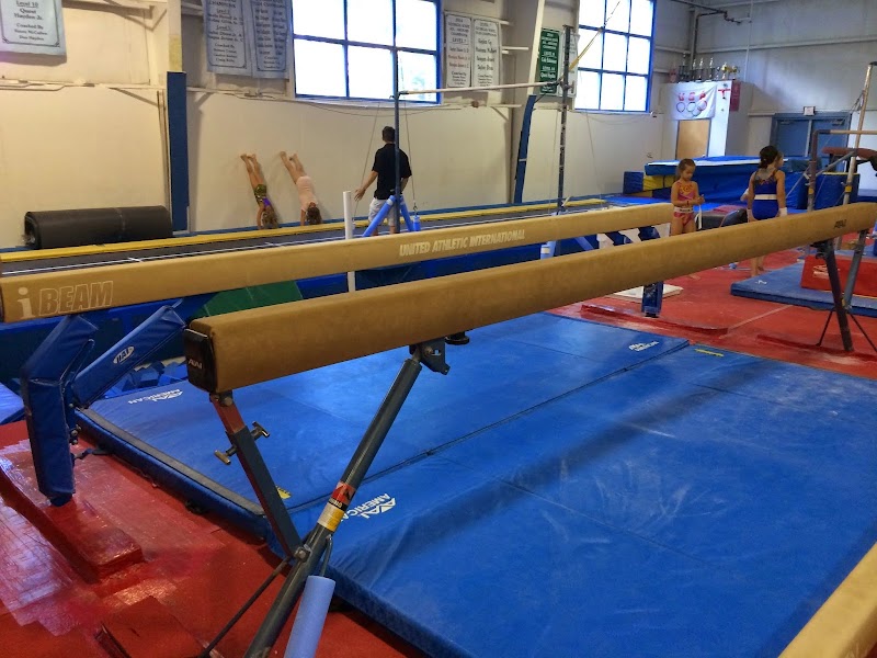 Hayden's International Gymnastic Academy photo 3