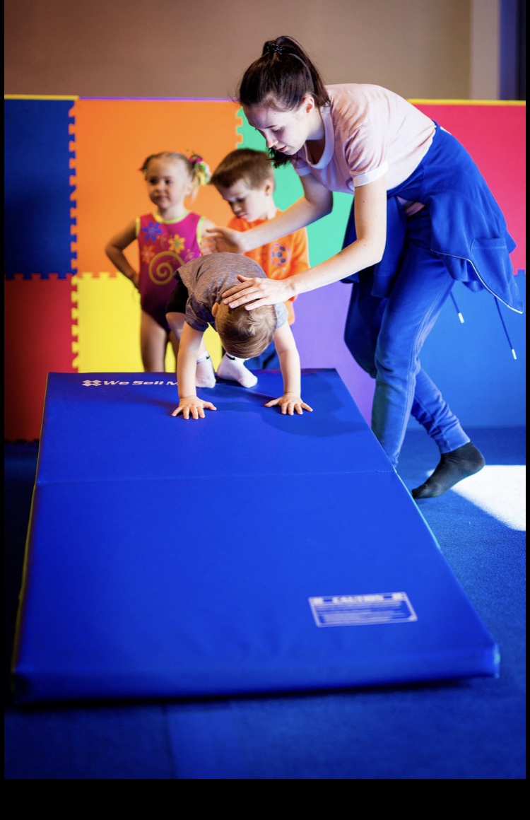 Professional Gymnastics Center photo 3