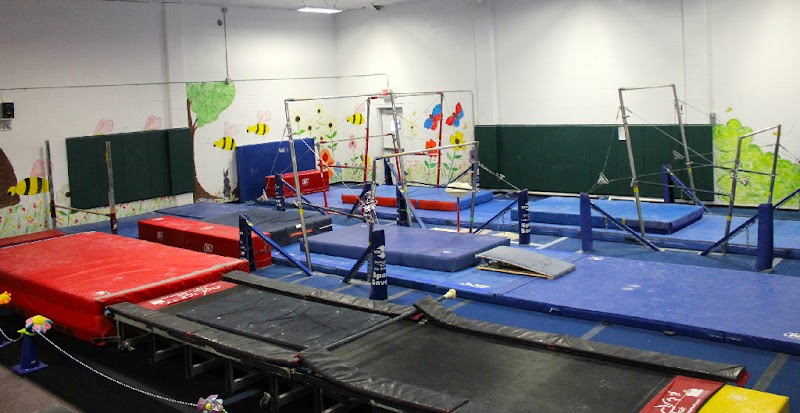 Tumble Bee Gym Inc. photo 2
