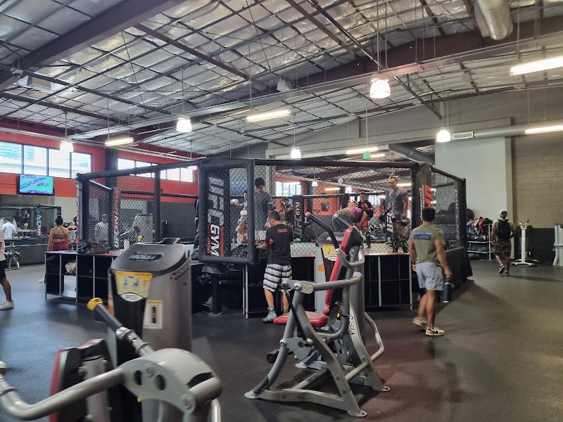 UFC GYM Honolulu photo 2