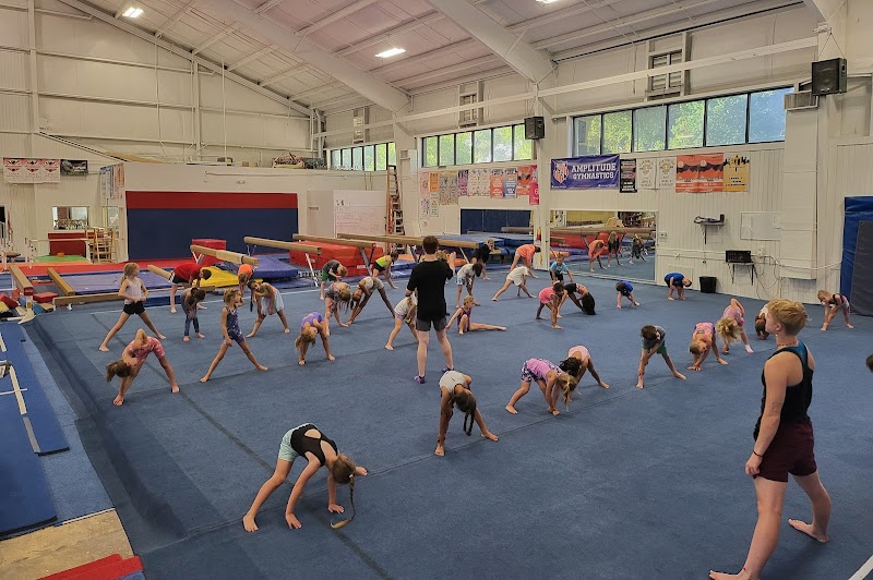 Amplitude Gymnastics Academy photo 2