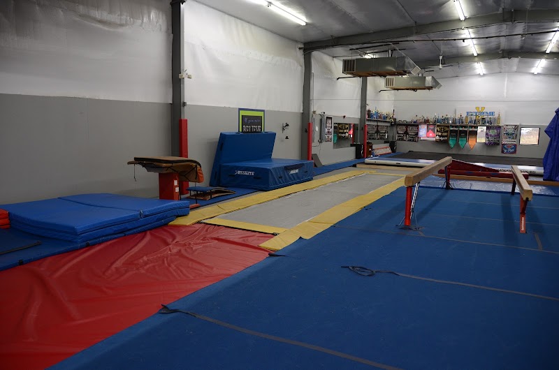 Extreme Gymnastics photo 3