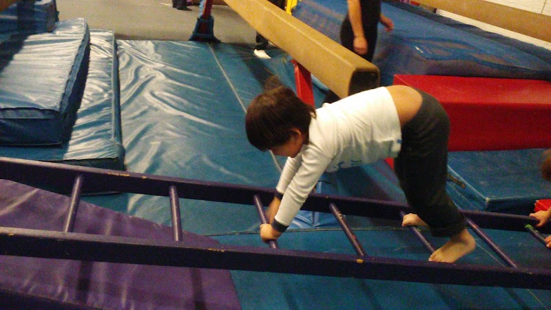 Gymkhana Inc. photo 2