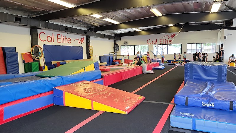 Fun and Fit Gymnastics