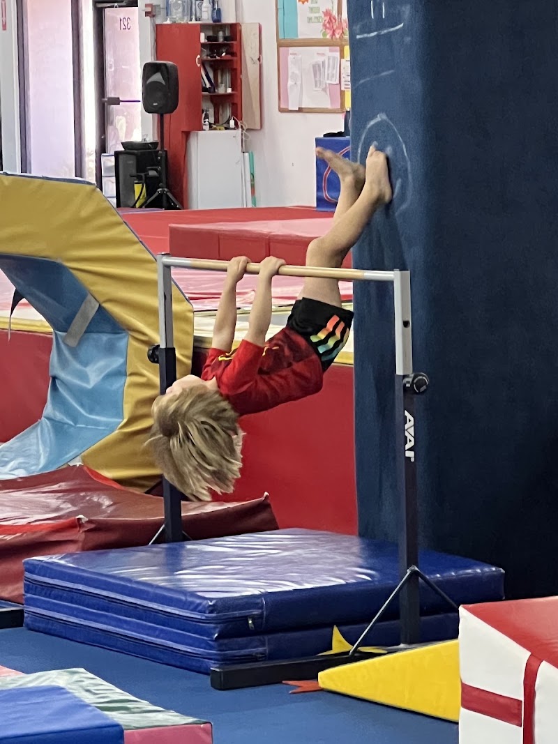 Twisters Gymnastics photo 3