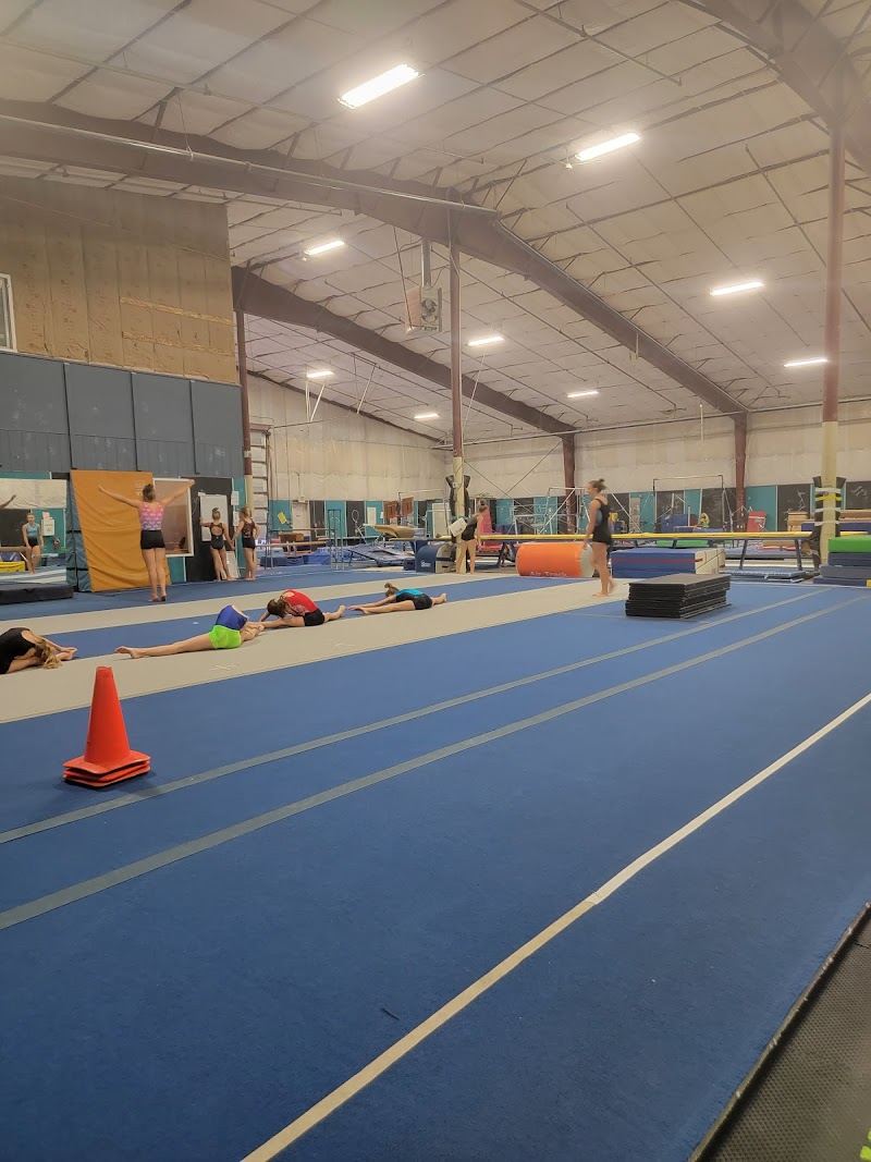 Technique Gymnastics photo 2