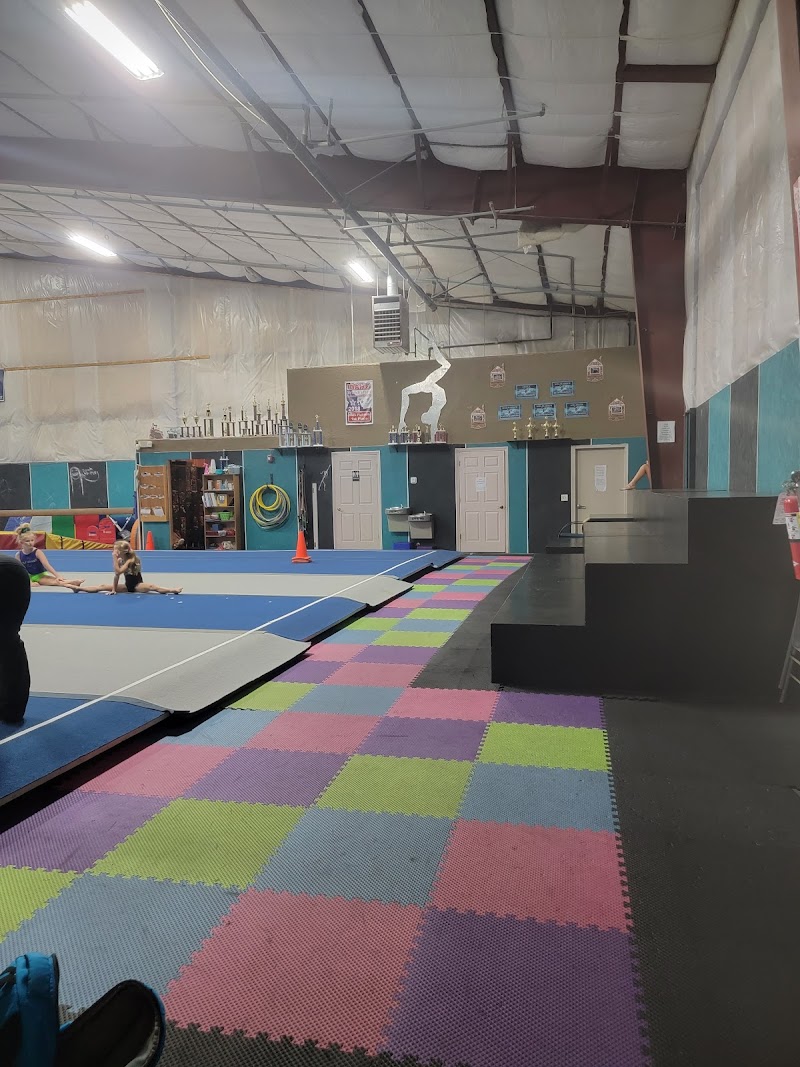 Technique Gymnastics photo 3