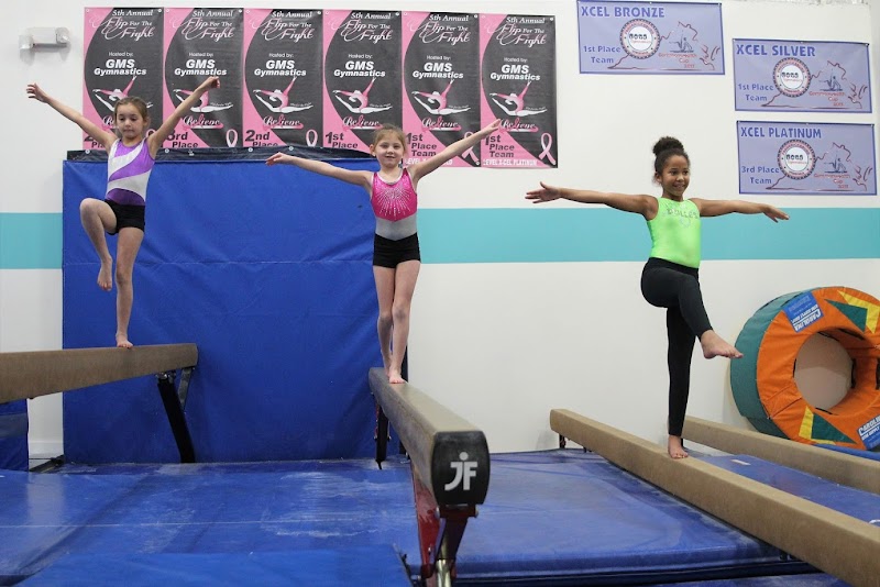 Dulles Gymnastics Academy
