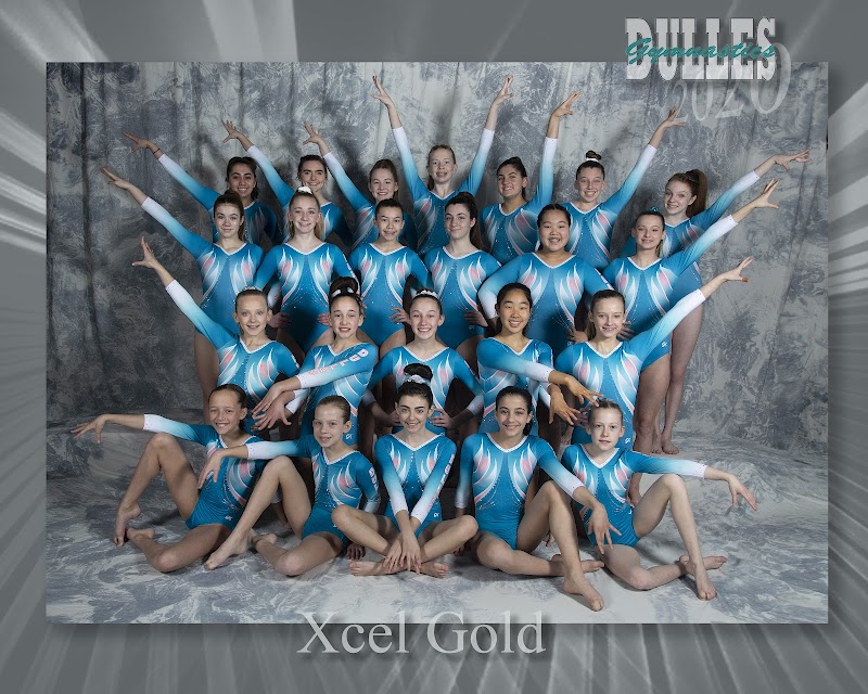 Dulles Gymnastics Academy photo 2