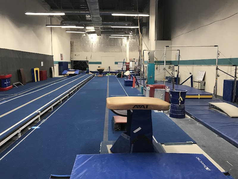 Dulles Gymnastics Academy photo 3