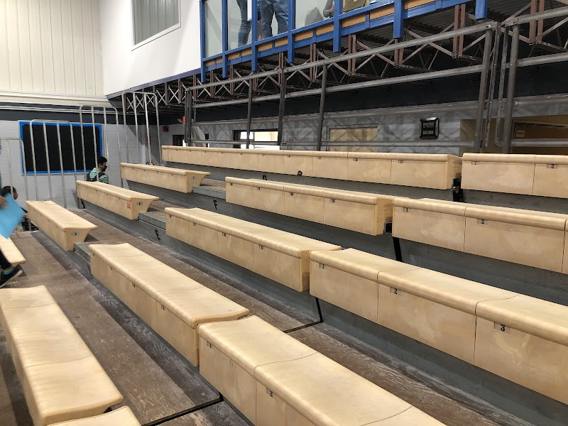 Red River Valley Gymnastics Club photo 3