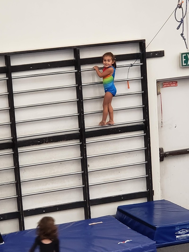 Gymnastics Inc. photo 2